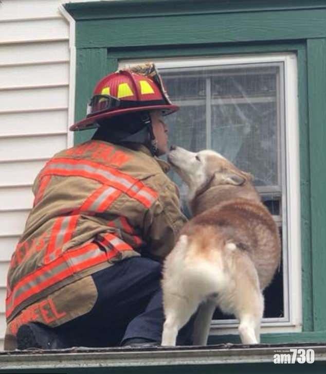 【得意汪星人】獲救好開心 不停吻消防員