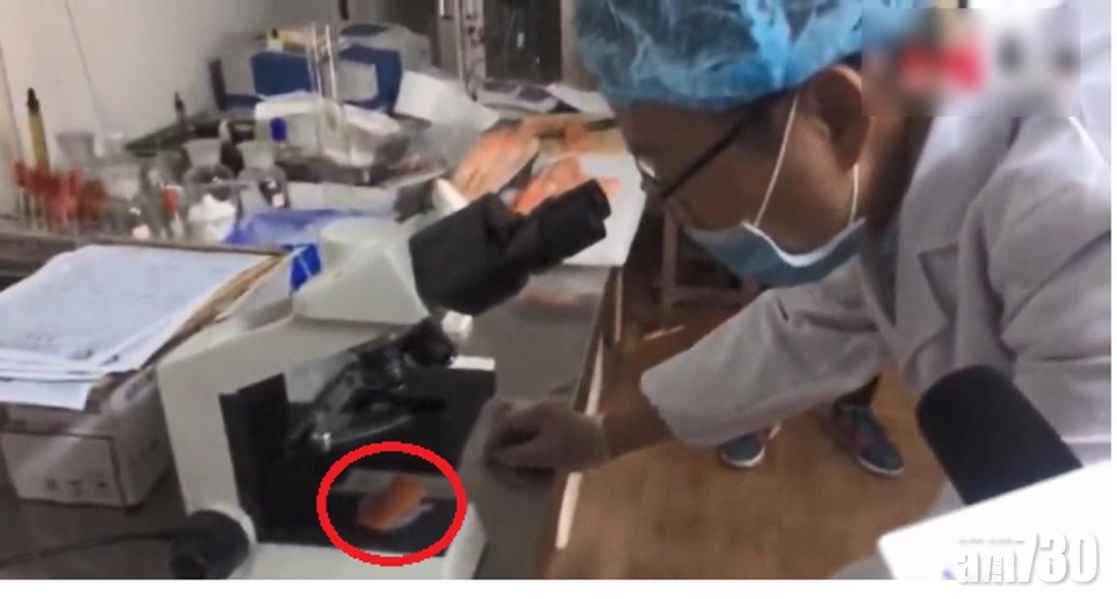 官媒力撐無蟲 用顯微鏡檢驗厚切三文魚