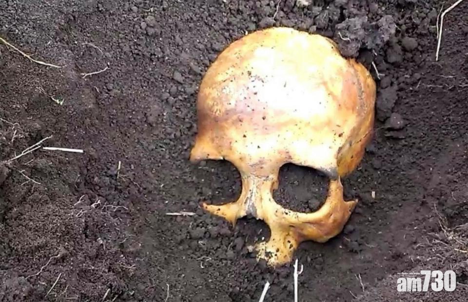 【庭院藏屍】俄漢種馬鈴薯挖出頭骨　揭發妻子殺前夫