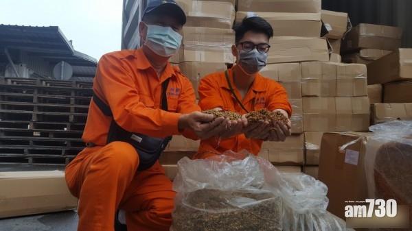 基隆海關截香港貨櫃 檢值657萬元走私煙絲