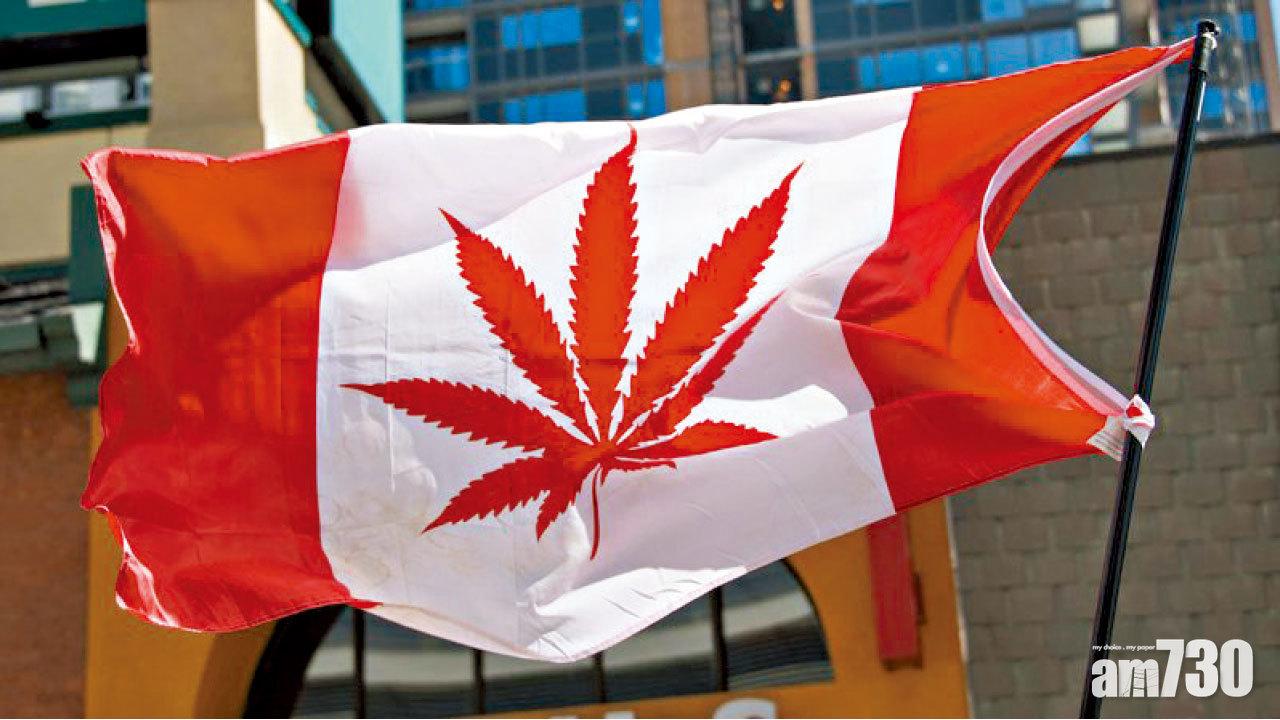 加拿大參議院通過　娛樂用大麻合法化