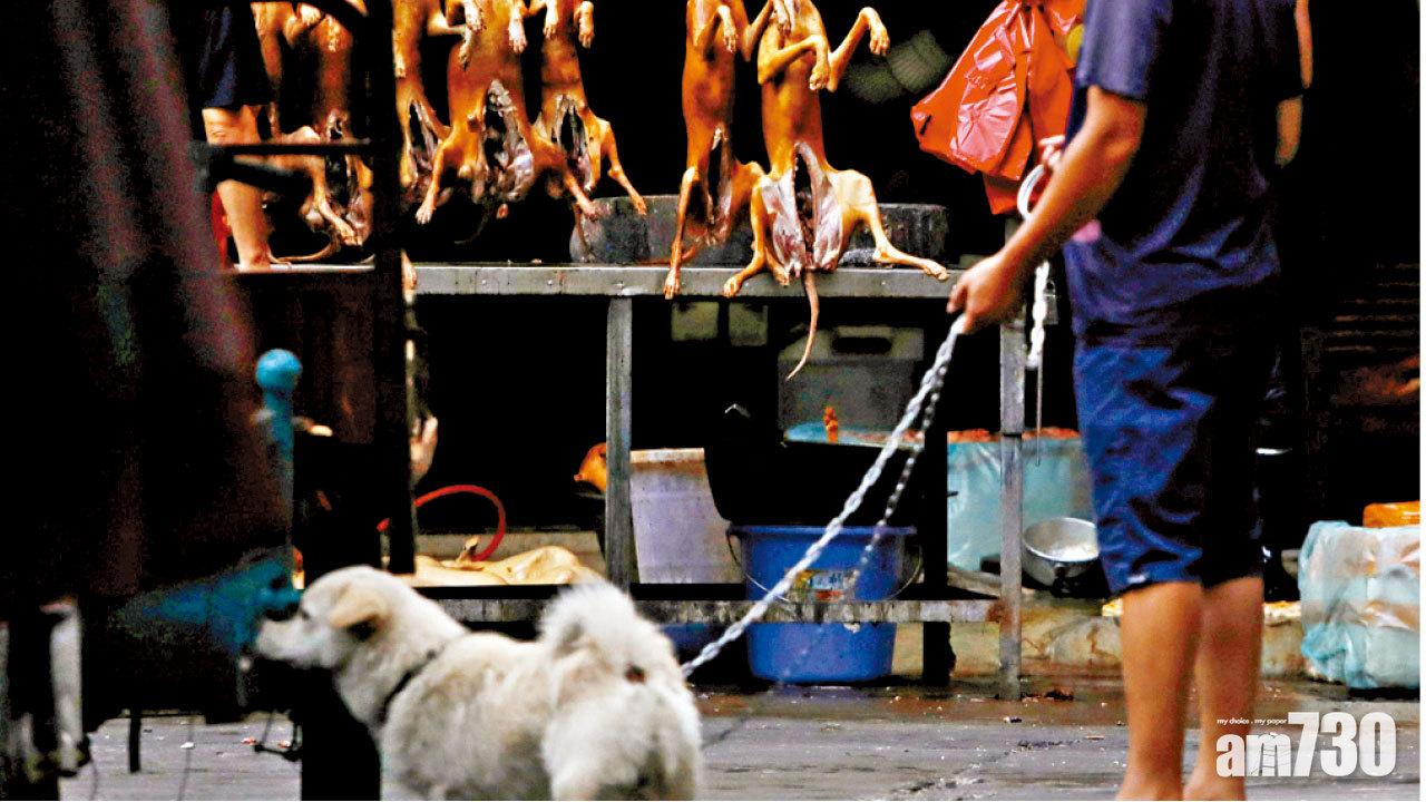 抵制繼續 玉林狗肉節照辦