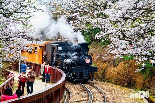 阿里山森林鐵路本線明復駛