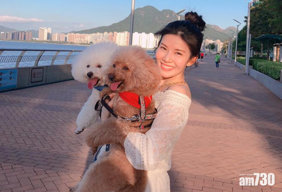 七月大限將至 張美妮呼籲領養格力犬 