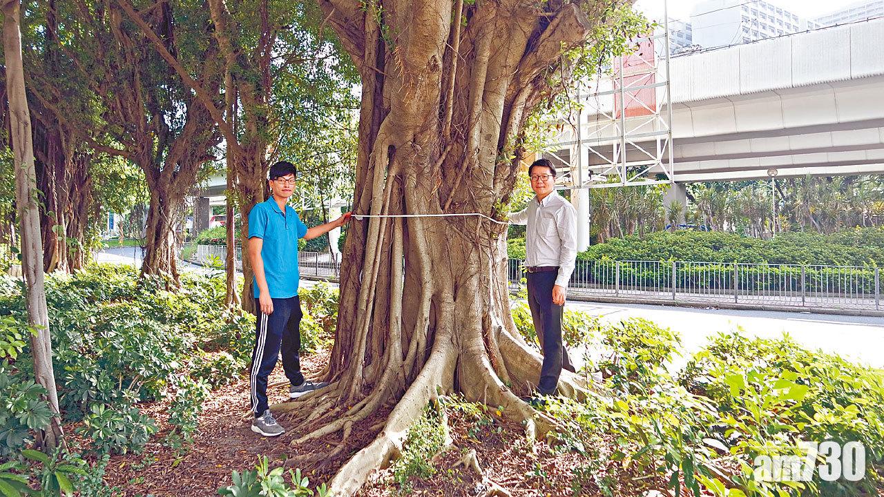 料年省35萬元環保開支 古樹減空氣污染物1300公斤