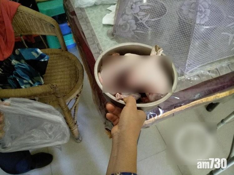 【怎麼可以吃兔兔！】寵物兔走失3小時 尋獲時已被劏