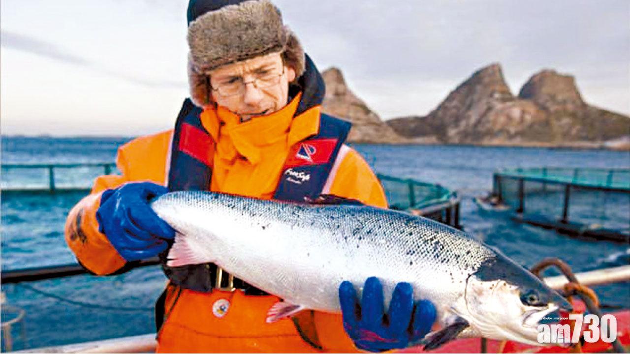 中國撤部分挪威三文魚進口禁令