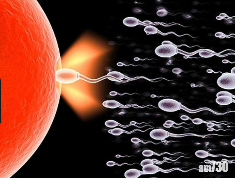 精子吉時：春季730am