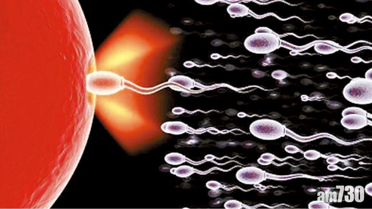 精子吉時：春季730am 