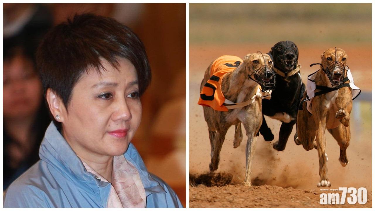 【狗狗點算】梁安琪：如果政府給機會  會繼續養格力犬