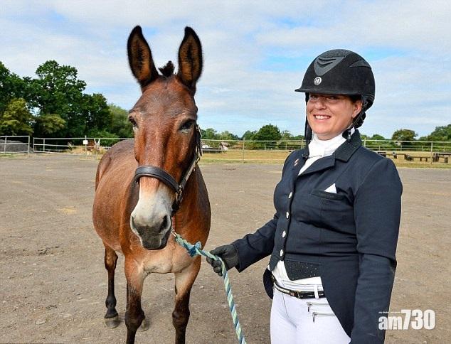 非驢非馬贏大賽