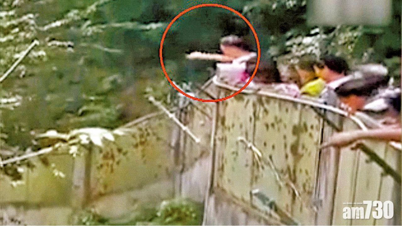 石頭擲熊貓 西安遊客被列黑名單