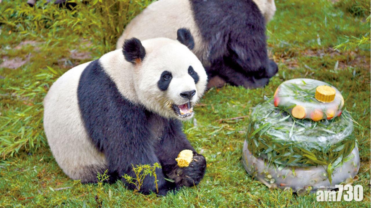 圖片新聞: 壽星