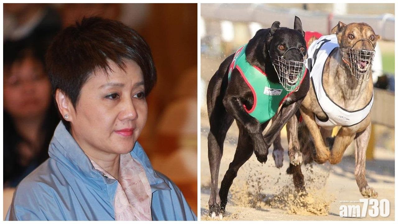 四太作財務承擔保證  533格力犬有望安置氹仔至終老