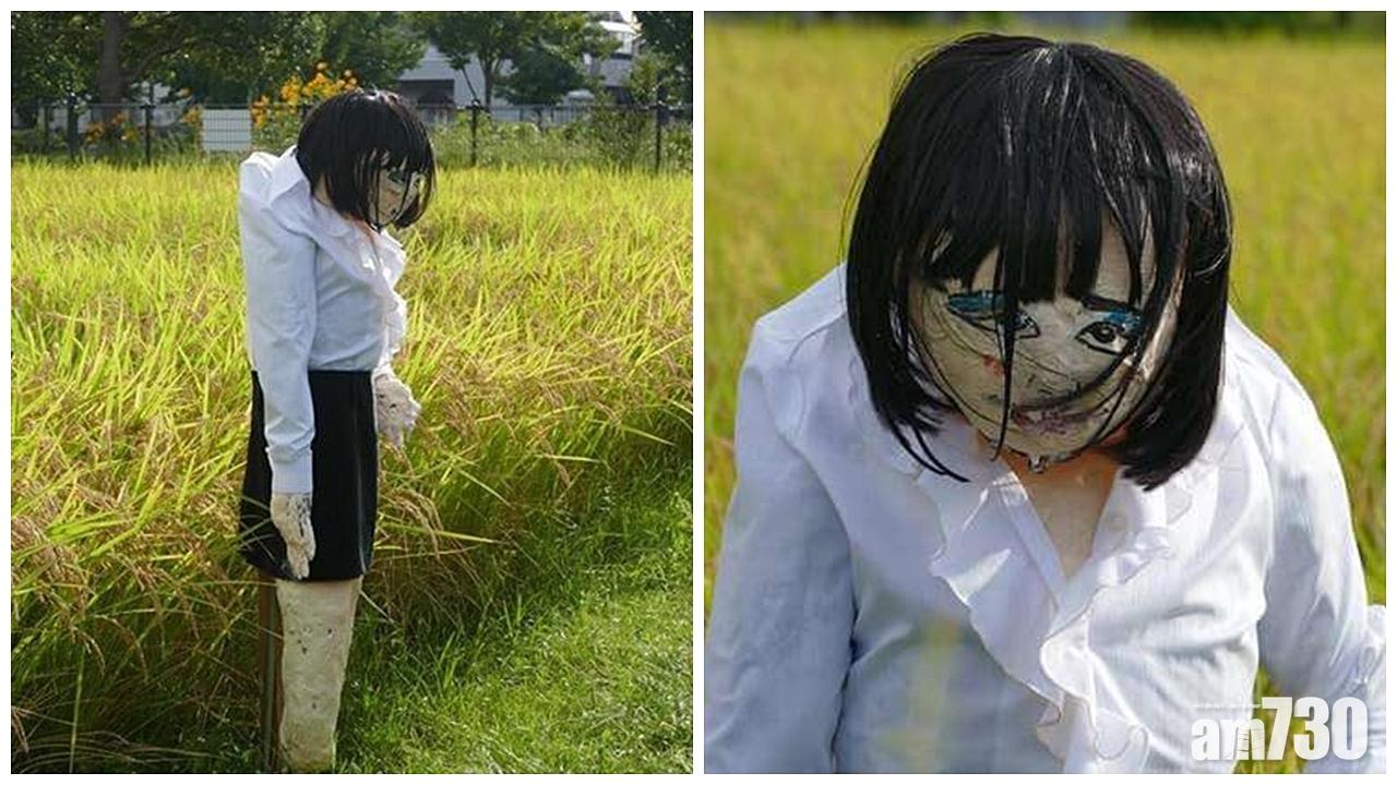 恐怖詭異稻草人 未嚇到雀先嚇死人