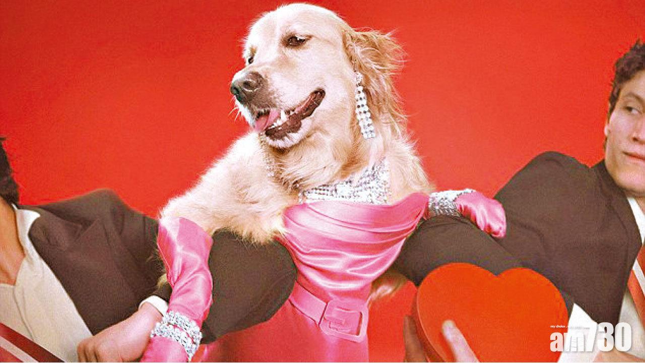 Maxdonna冒牌封套