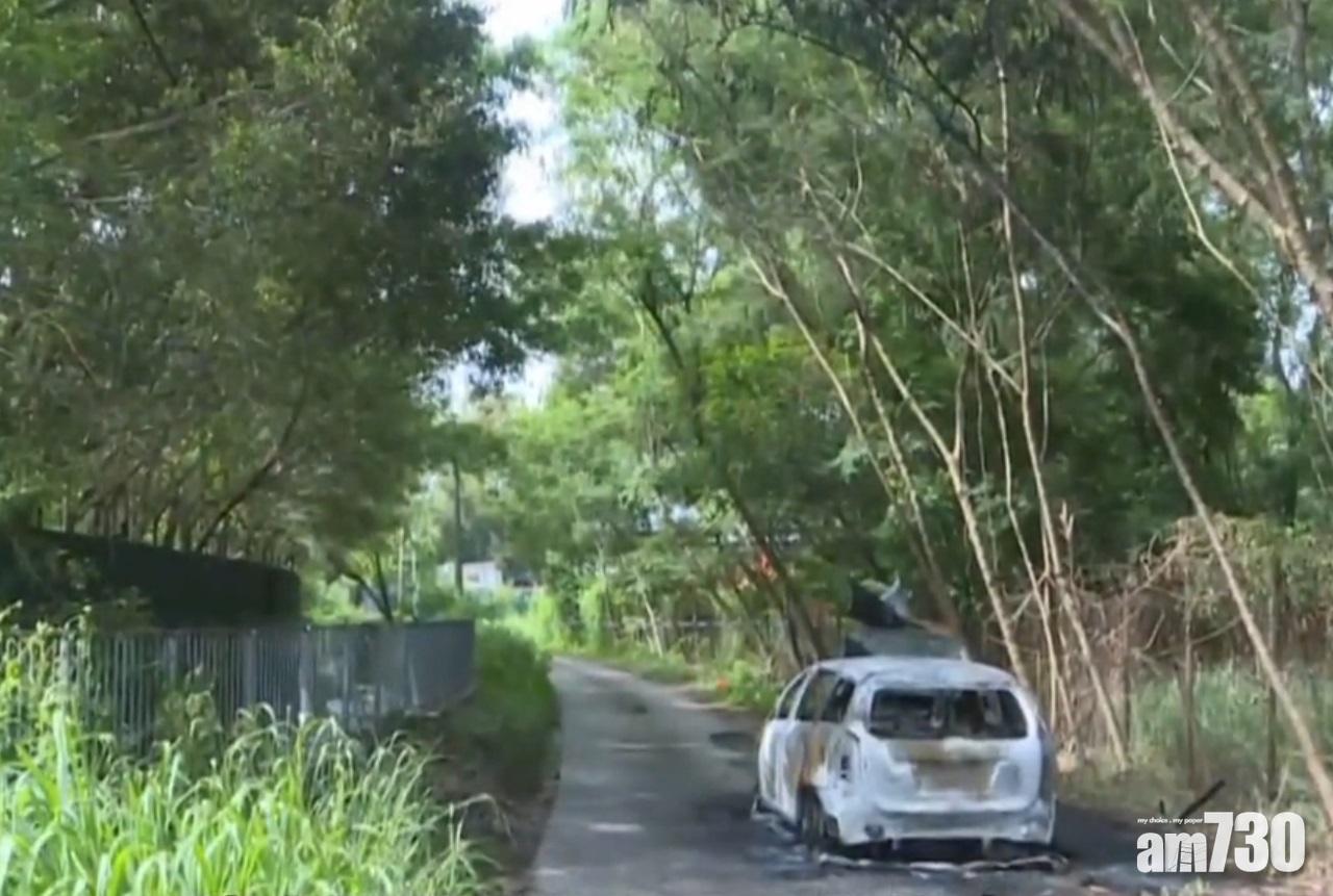 3南亞漢屯門撞車圖斬人