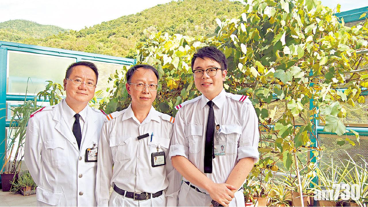 園藝治療助正面情緒  精神病患改善明顯