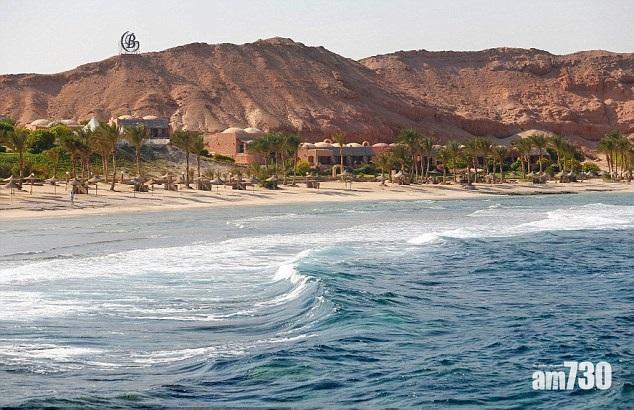 【3年來首次】埃及紅海游水 遊客遭鯊魚咬死