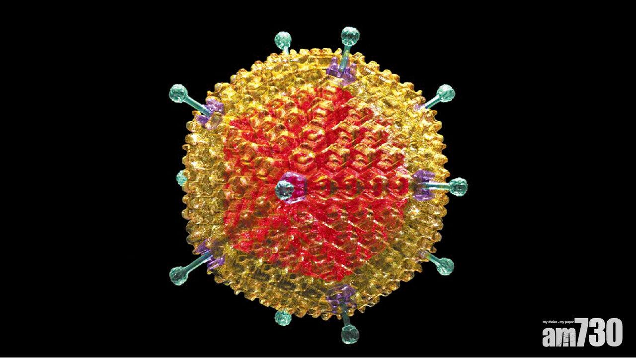 「腺病毒36」為增磅元兇 美專家研減肥疫苗