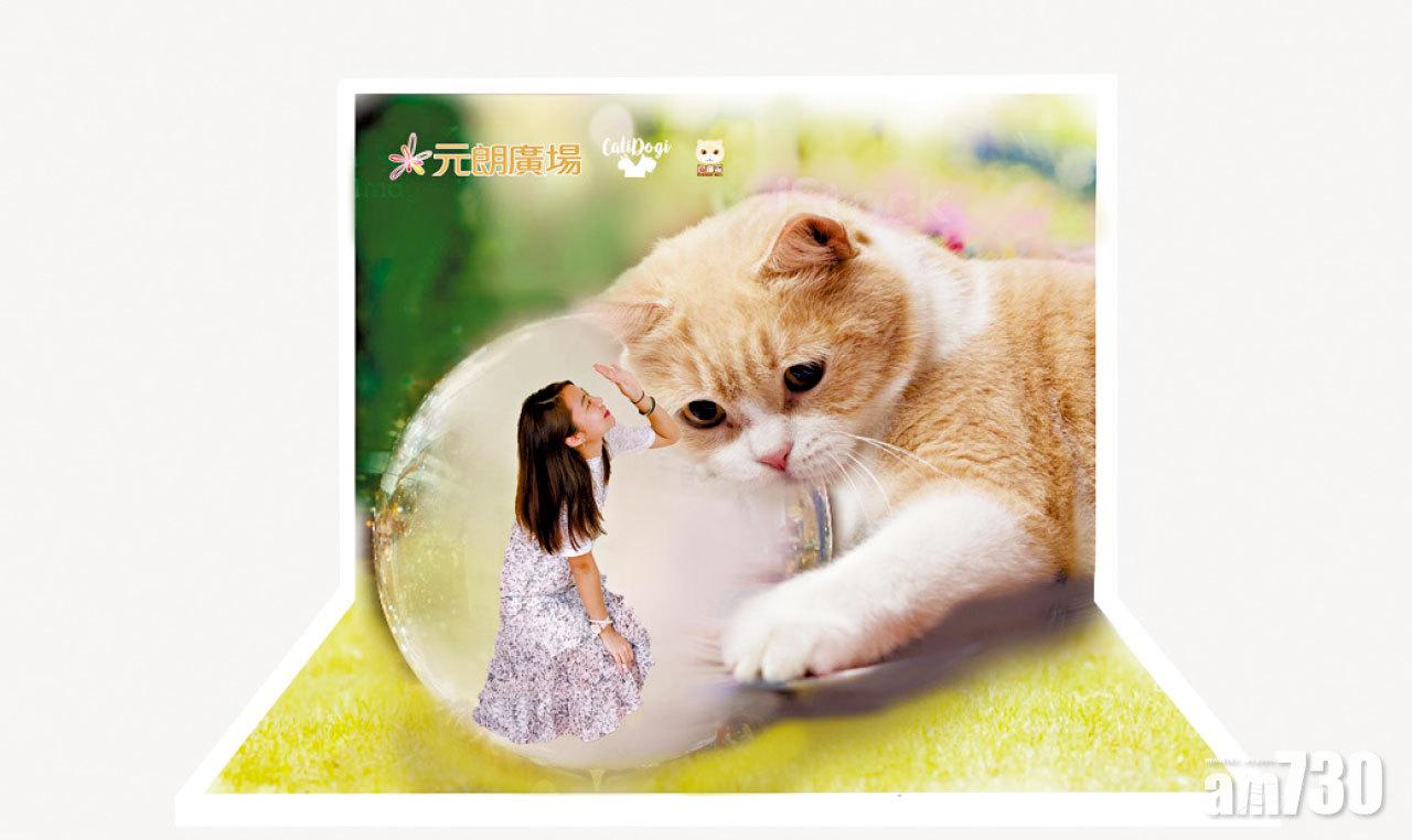 【市場資訊】元朗廣場 仲夏寵愛藝術館以藝術連繫社區  百人忌廉哥Art Jamming  