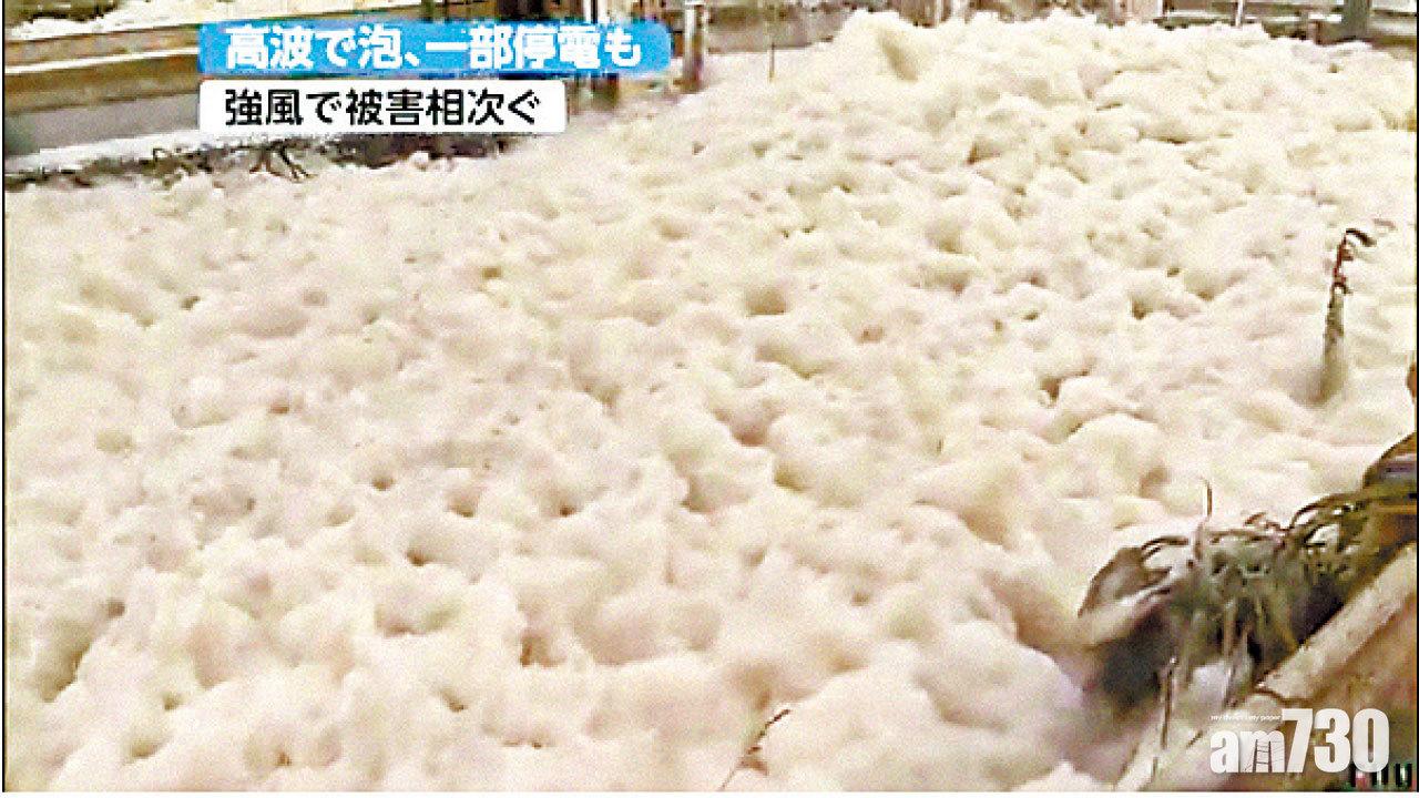 颱風珊珊襲關東6傷 掠過東京