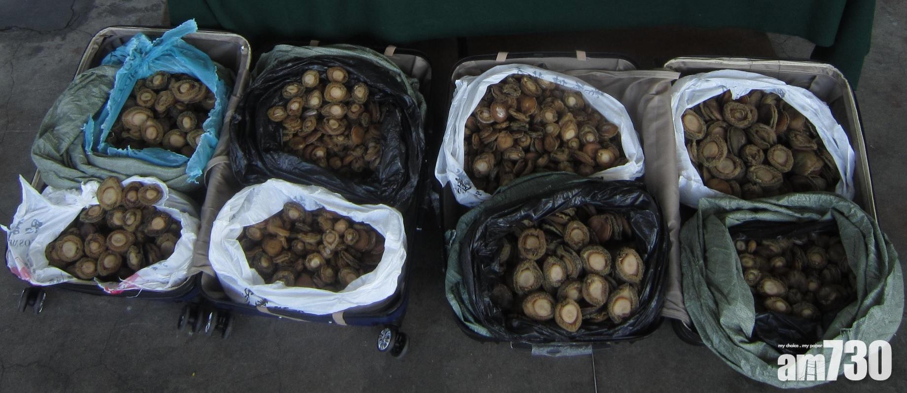 4男女涉走私316公斤乾鮑魚