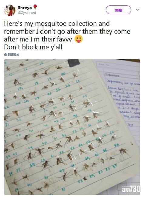 【毛管戙】女網民殺80隻蚊 集屍成冊