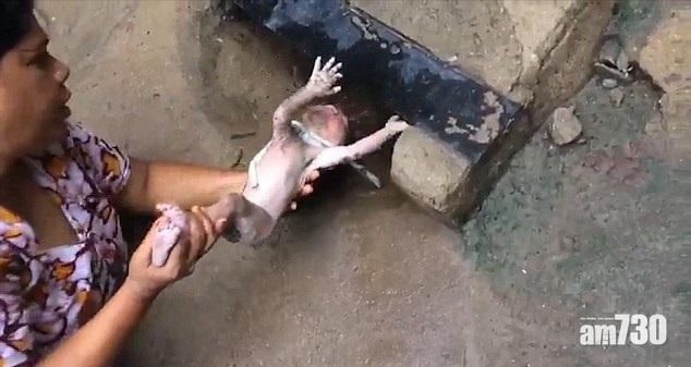 【有片】初生男嬰被棄於坑渠　好心婦救出取名「自由」