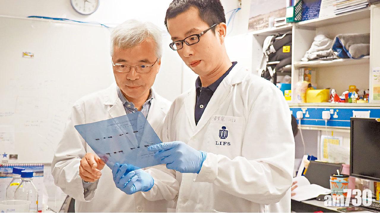 重構神經突觸 研調節機制  科大冀助診治精神障礙