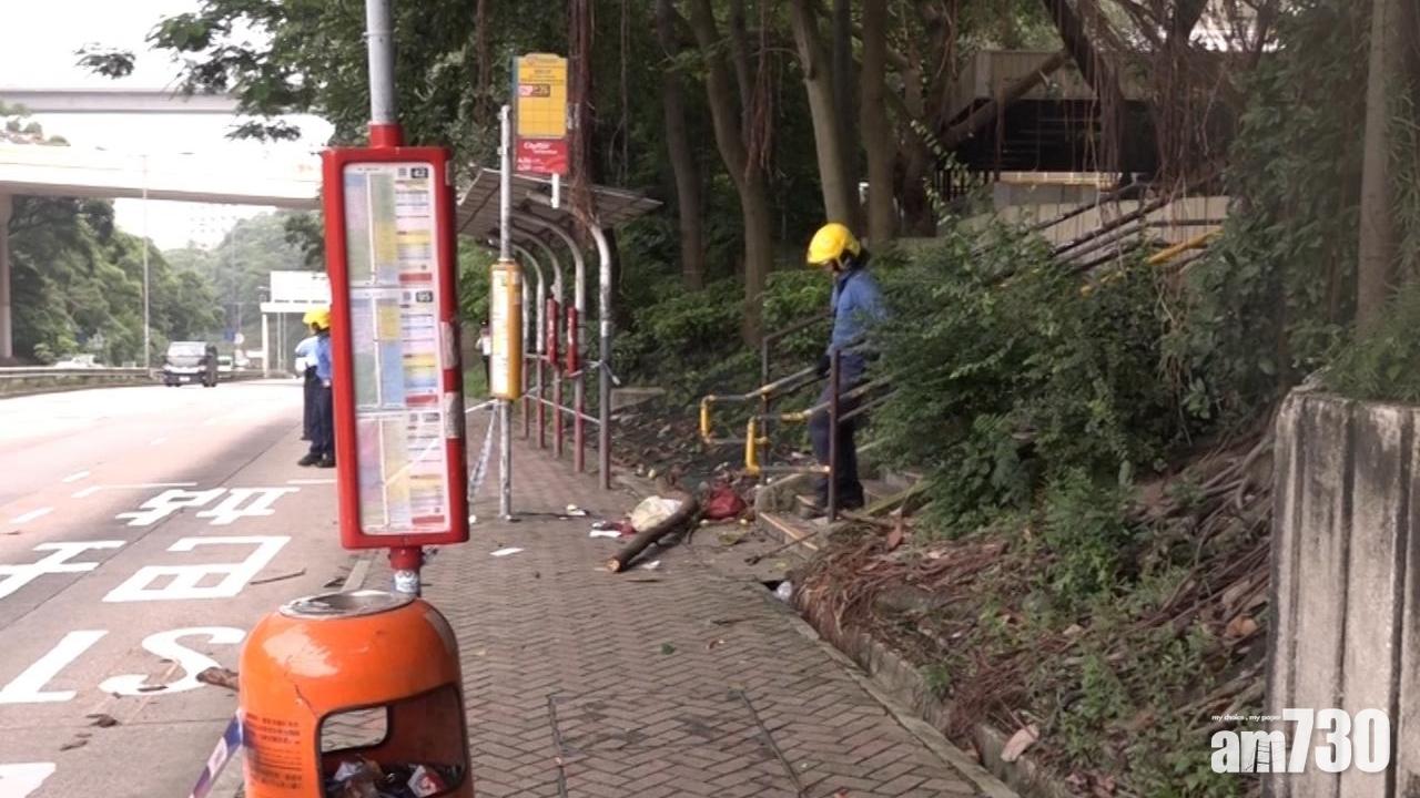 斷樹枝擊斃印傭 長春社：樹枝曾被不當修剪致壞死