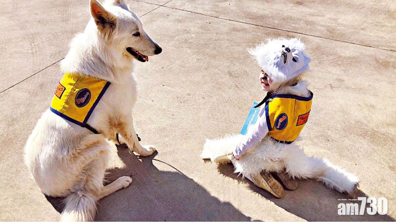 女孩扮狗淚的小語