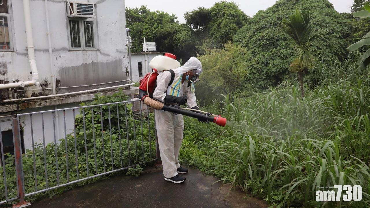張建宗陳肇始長洲視察滅蚊工作 將加快公布誘蚊產卵指數