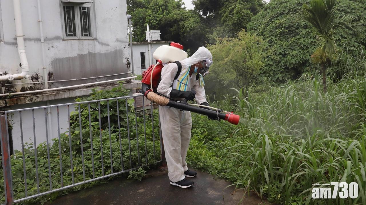 【登革熱爆發】中學選疫源長洲宿營缺席當曠課 家長：罔顧學生安全