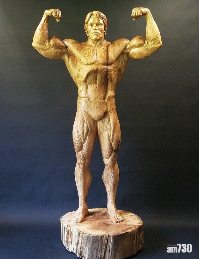 一碌木變爆肌偶像