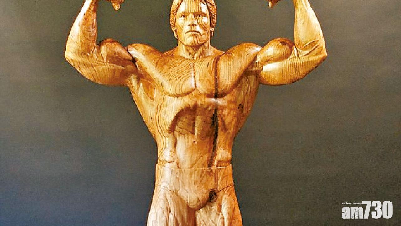 一碌木變爆肌偶像