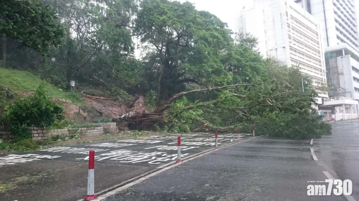 【山竹襲港】111名市民風暴期間受傷