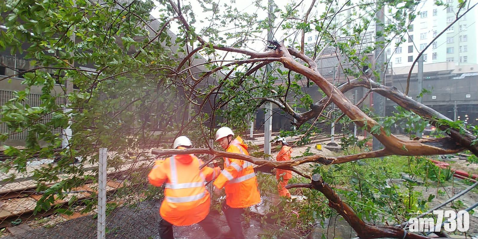【山竹襲港】(多相)港鐵：多條鐵路線發現塌樹及障礙物 需時清理