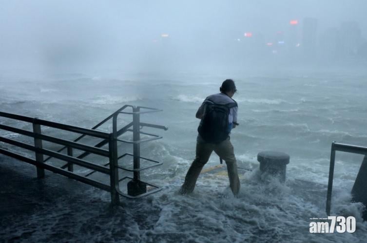 【山竹襲港】179宗塌樹報告 213名市民風暴求醫