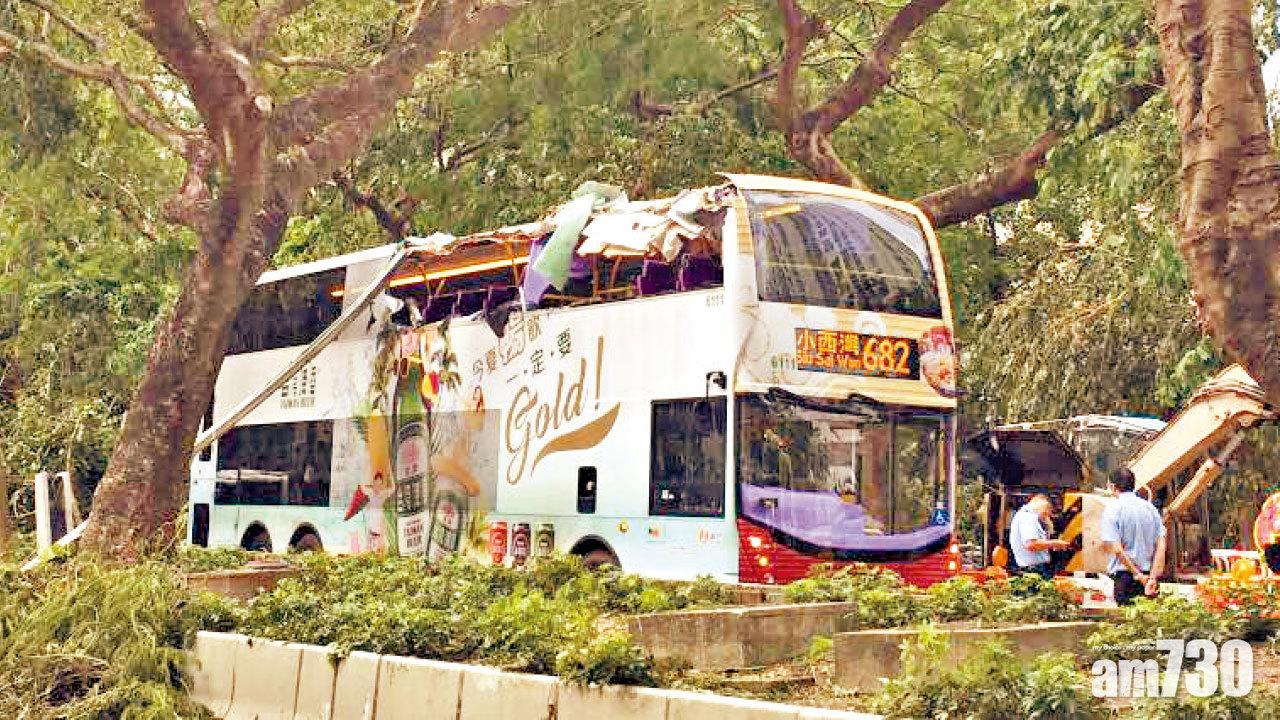 吹歪樹椏劏巴士車頂