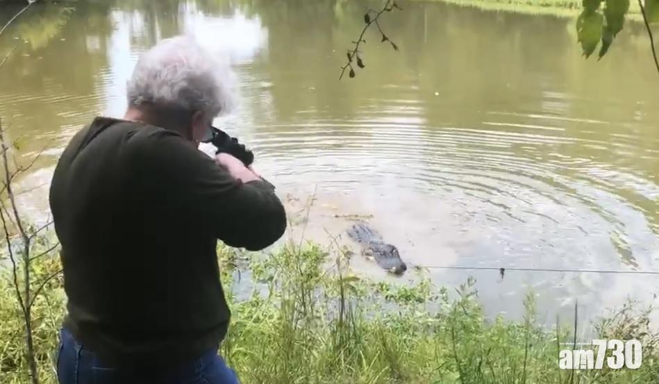 【Angry Nan】為愛駒報仇 73歲阿婆一槍擊斃12呎大鱷