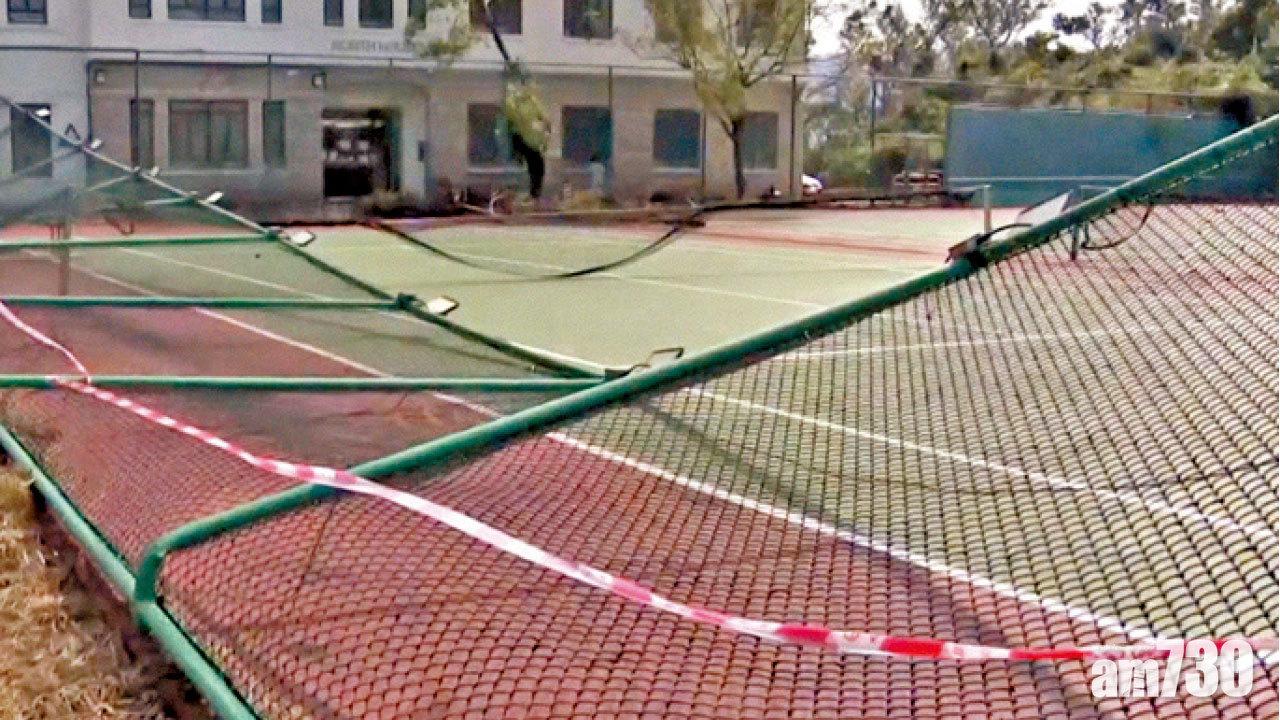 赤柱聖士提反書院復課  校長：三分一樹木吹倒