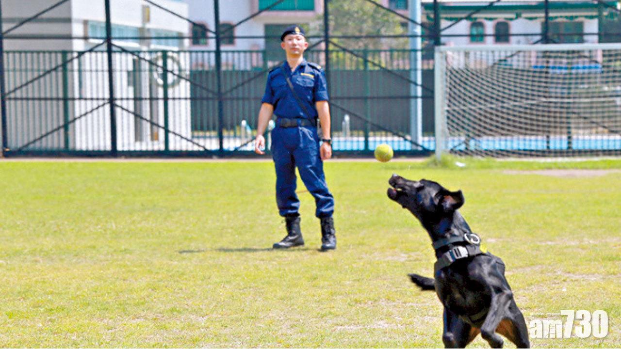 逾12萬元現金出入境需申報 本月16日起不再寬限