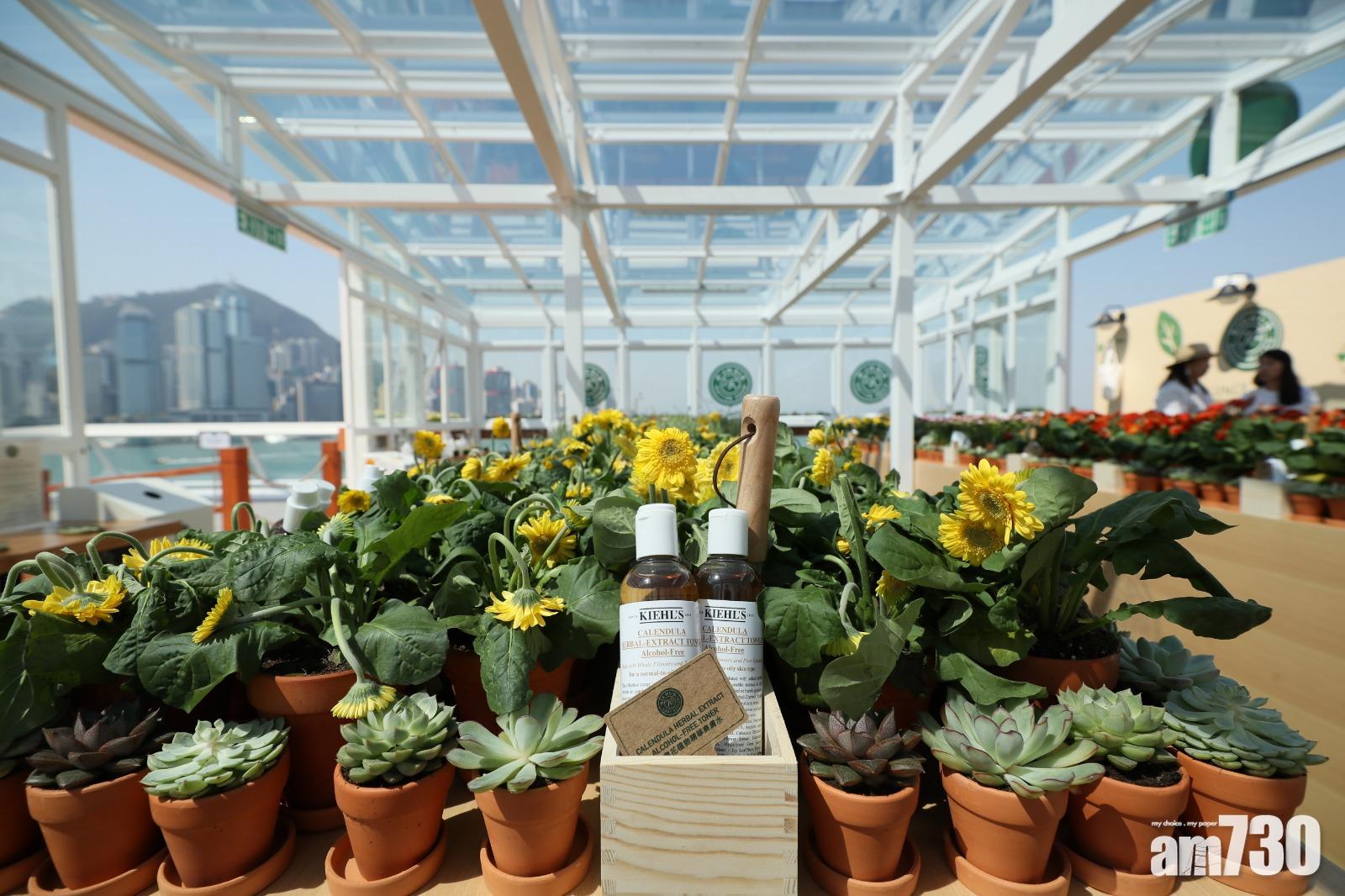 Kiehl’s首個空中藥房 免費玩花藝即做善事