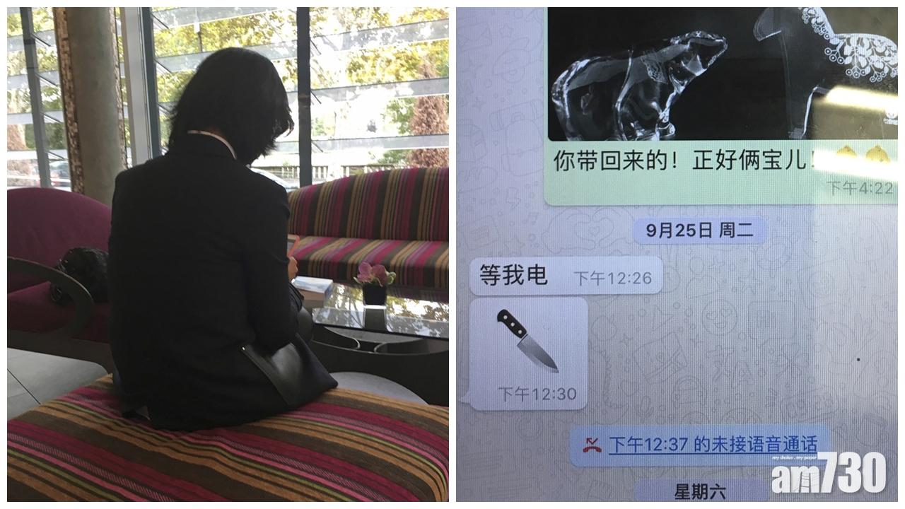 國際刑警組織指孟宏偉辭任主席 妻稱收到丈夫傳「刀」短訊憂安危