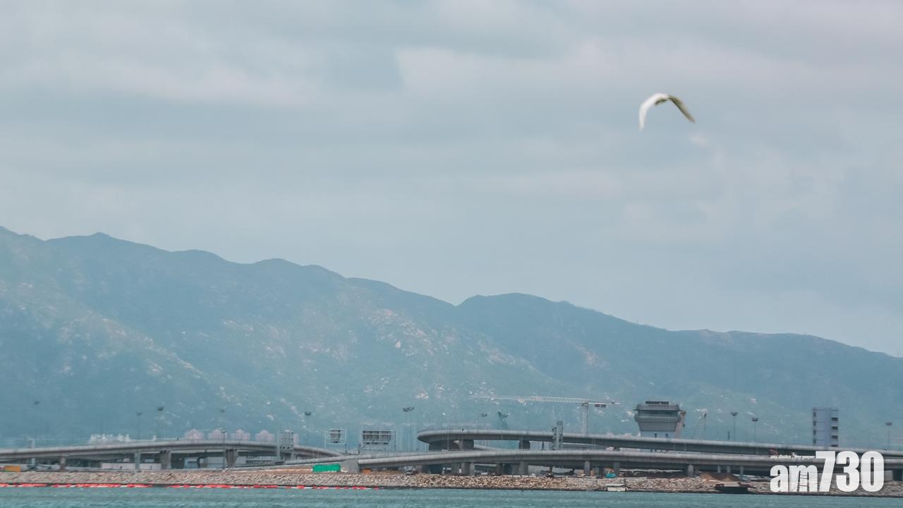 受東北季候風影響 星期4低見22度