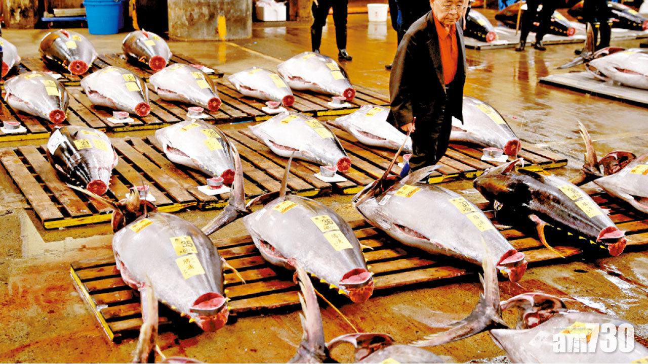 東京新築地今開市