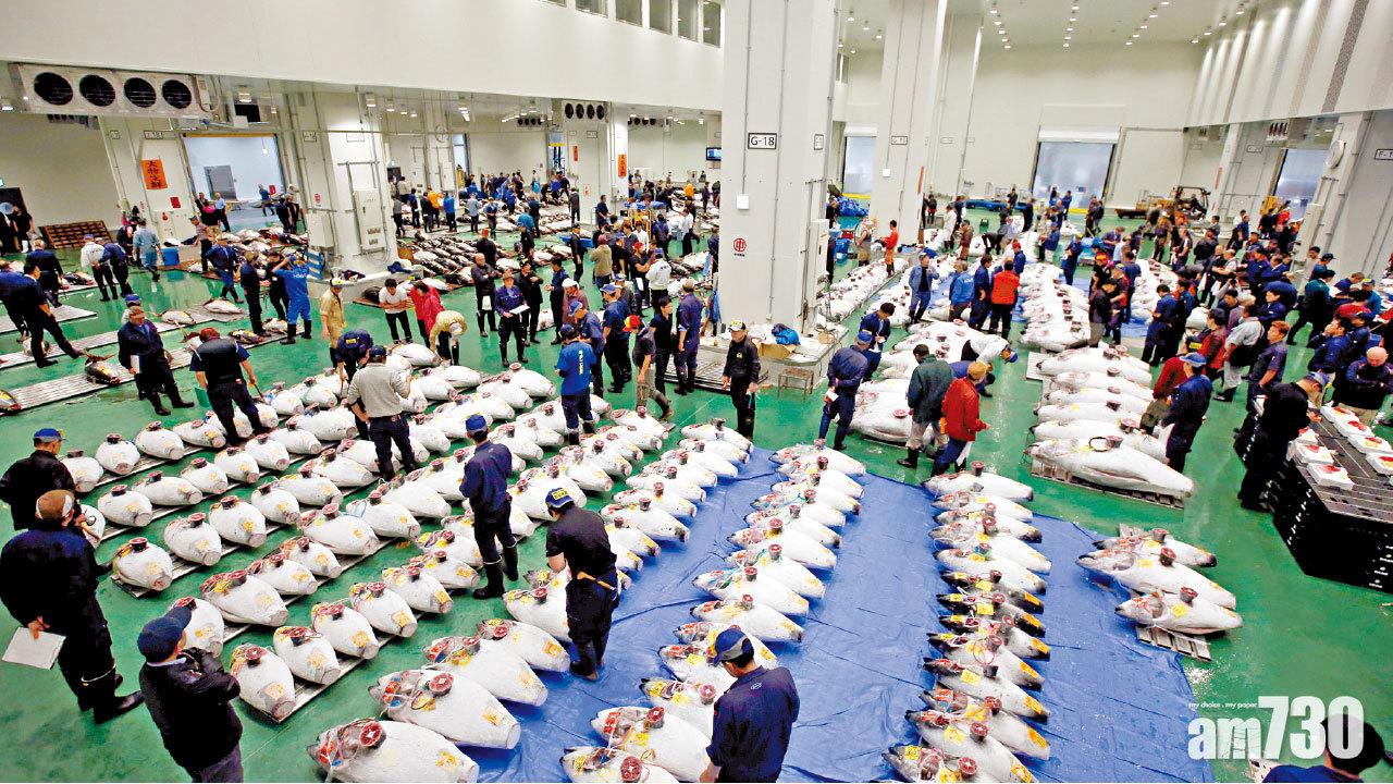 首次拍賣吞拿魚  日本豐洲市場開幕