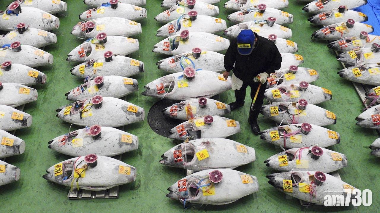 東京豐洲市場今日起向大眾開放