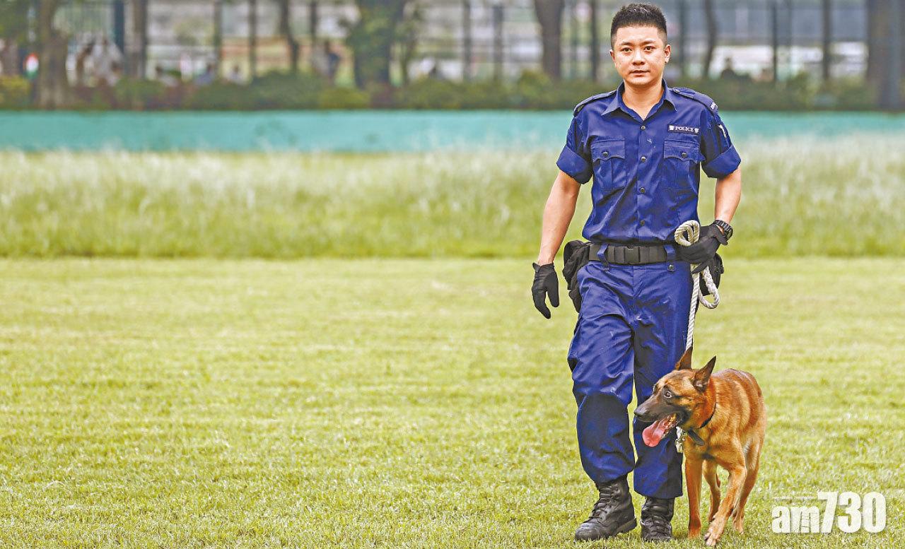 南丫島警犬咬傷13歲男童